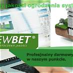 drew bet